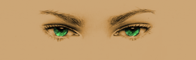 cantillion_header.png