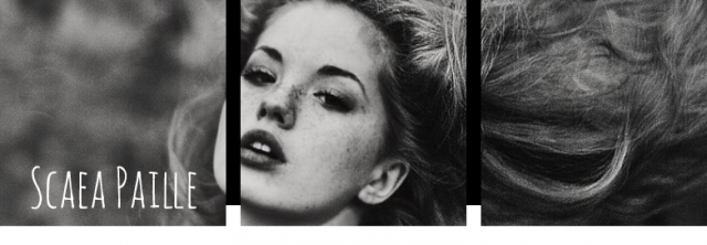 header 1.png