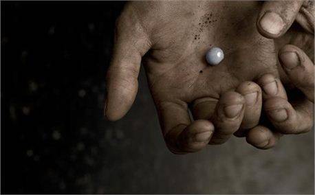 3803_3803_5.jpg