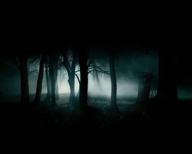 Dark-Forest.jpeg