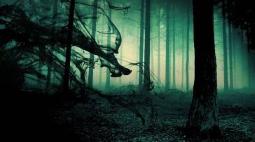Creepy-Dark-Fog-In-Gothic-Forest-Wallpaper-364x204.jpg