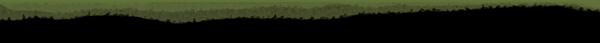 azira_footer.png