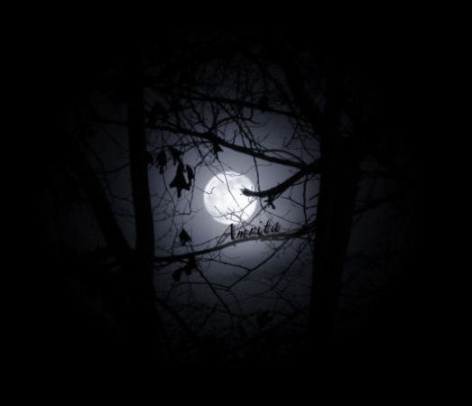 Moonlight.png