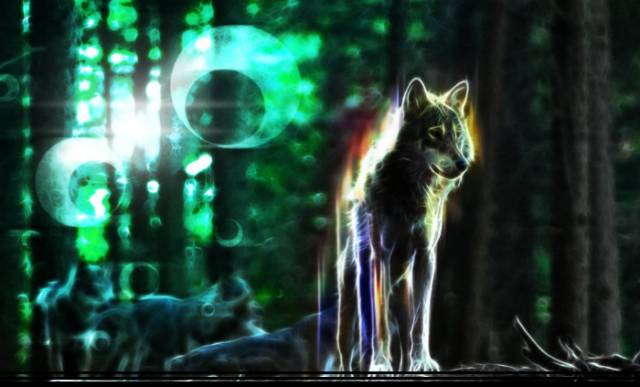Lone Wolf.jpg