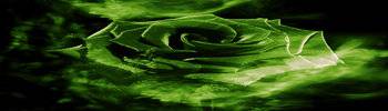 Emerald rose edited.jpg