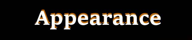 Banners1.jpg