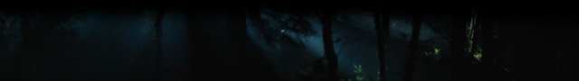 zakitalowerbanner.png