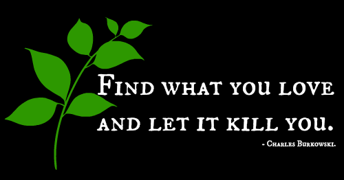 Find What.png