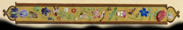 border_floral_01.png