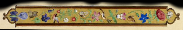 border_floral_01_bottom.png