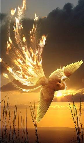 Phoenix_by_Ahyicodae.jpg