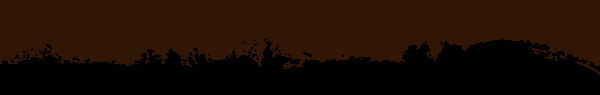 koruma1b.png