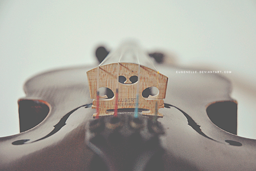 violin_by_eugenelle.png