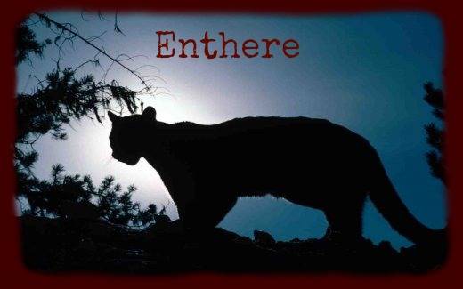 lioness1.jpg