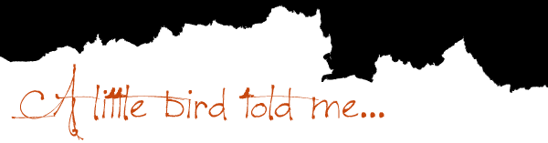 grader_temp_top.png
