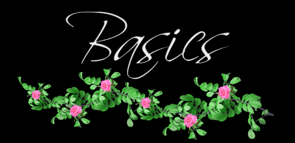 basics.png