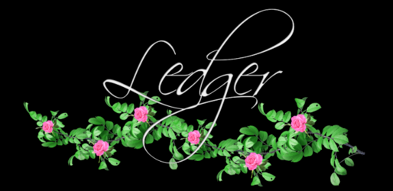 ledger things.png