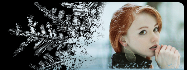 winter_header.png