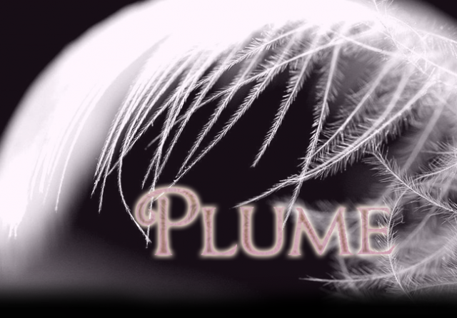 plumetemp1.png