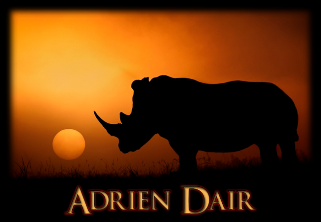 rhinosunset.png