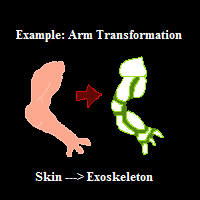 Exo.png