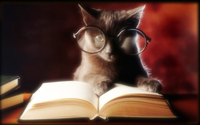 Cat book.png