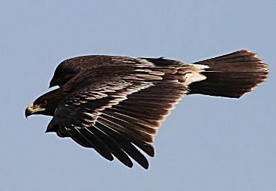 400x277(1).jpg