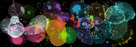 splatter.png