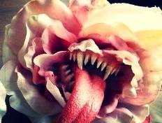 da19b691-fdd6-4ed1-852f-7703d030bf8a_zpsg8exjvrr.jpg