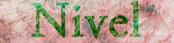 Nivel Banner 2.jpg