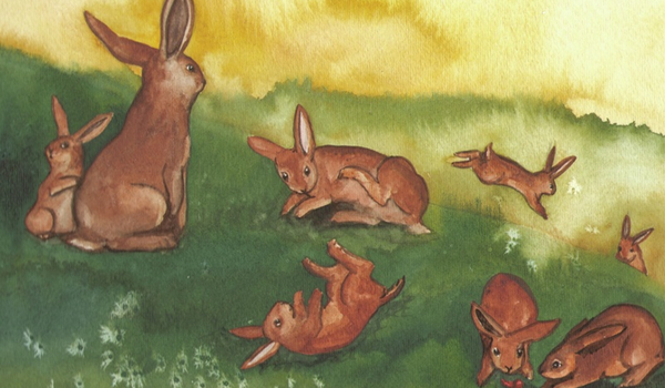 bunnies.png