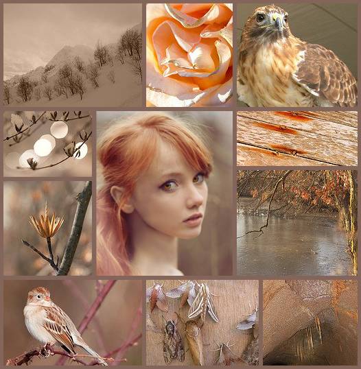 collage.jpg