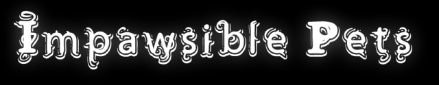 IP.png