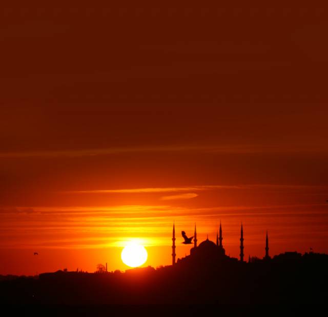caelum_background2.jpg