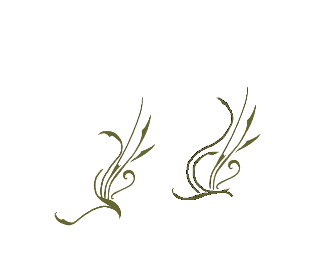 Cheva's mark.png