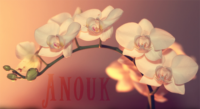 anoukwide.png
