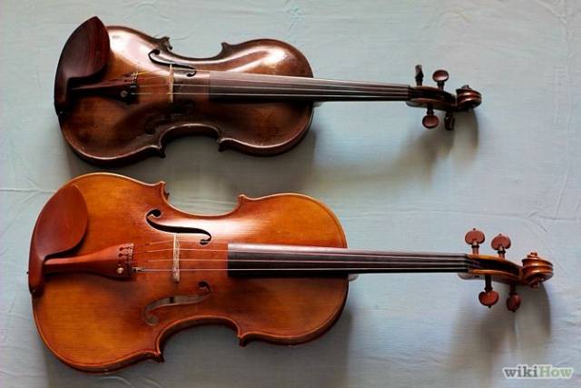 670px-Distinguish-Between-Violins-and-Violas-Step-1.jpg