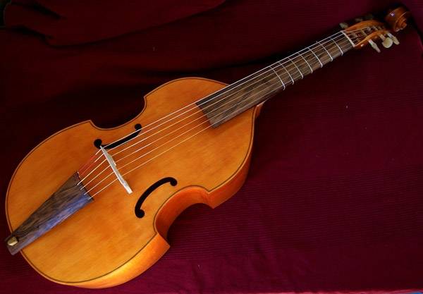 viol.jpg