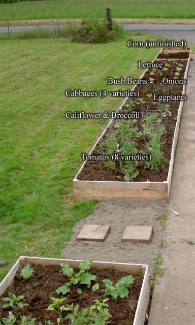 big-60ft-raisedbed.jpg