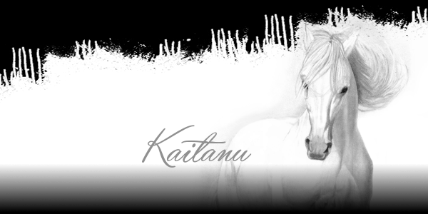 kaitanu 2.png