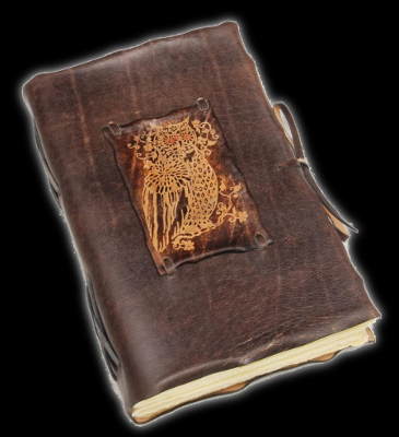 journal.png