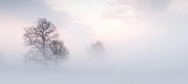 misty.png