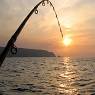 Fishing.jpg