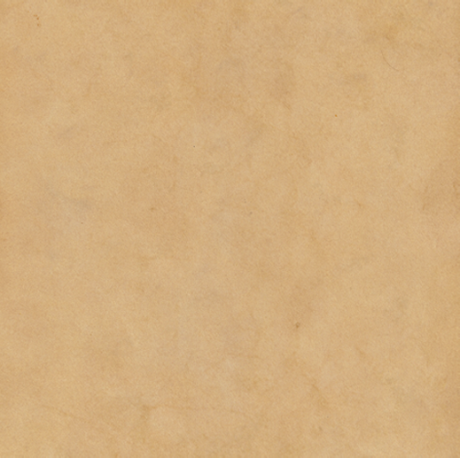 katelyn_background.png