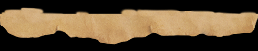 katelyn_bottom.png