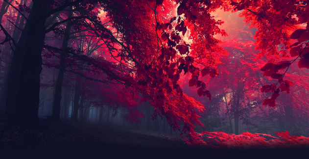 maddytemptrees_top.png