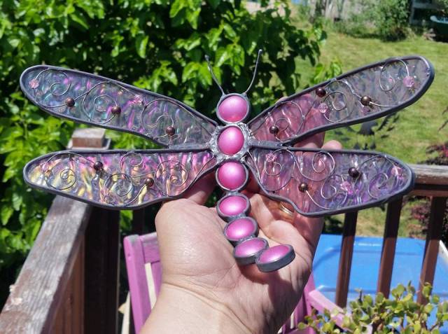 dragonfly.jpg