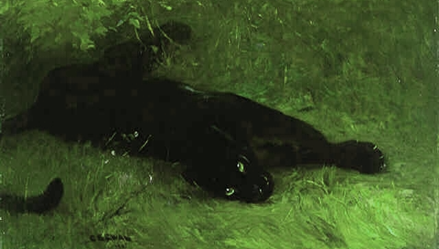 lounging.png