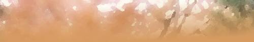 autumn 515 header 1.jpg