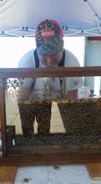 bee1.jpg